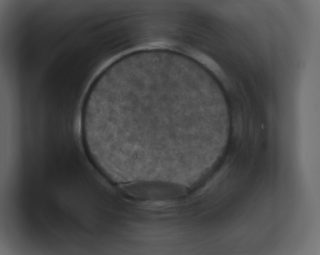 X0000100501420200807111134