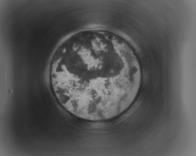 X0000100501421200807111134