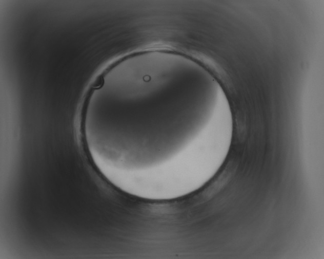 X0000100501422200807111134