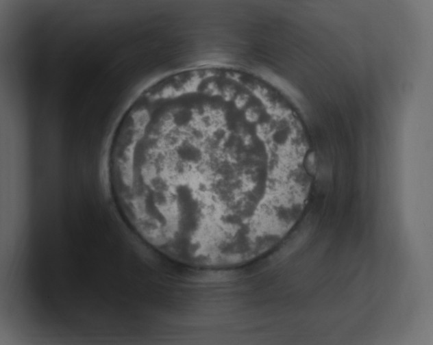 X0000100501423200807111134