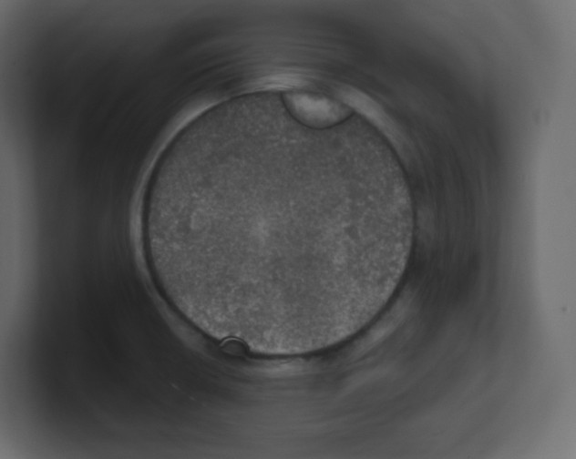 X0000100501426200807111134