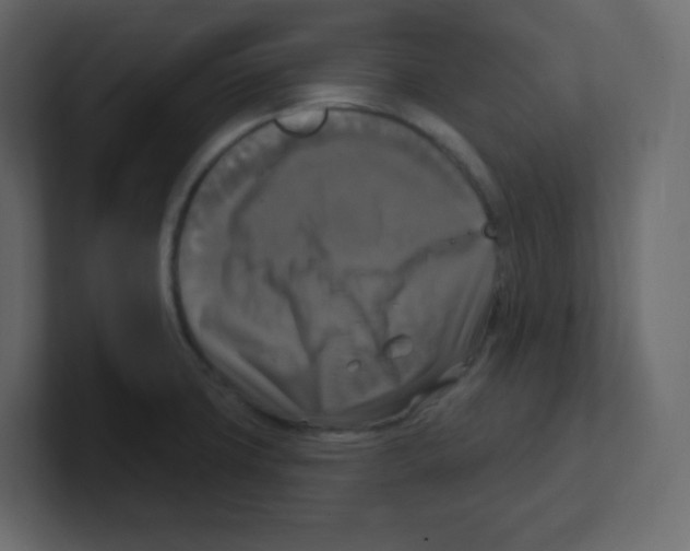 X0000100501427200807111134