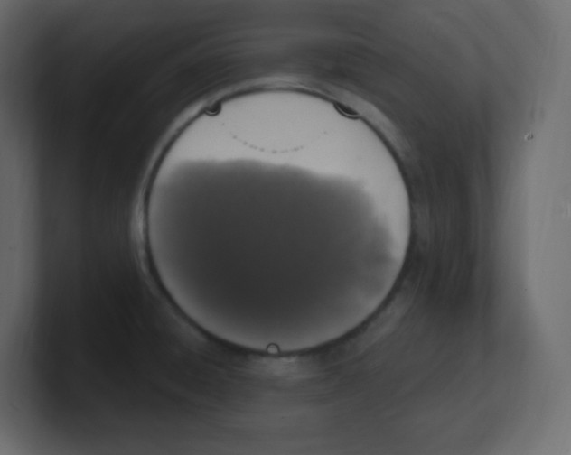 X0000100501428200807111134