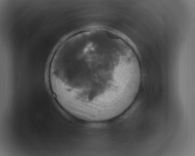 X0000100501429200807111134