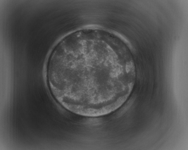 X0000100501430200807111134