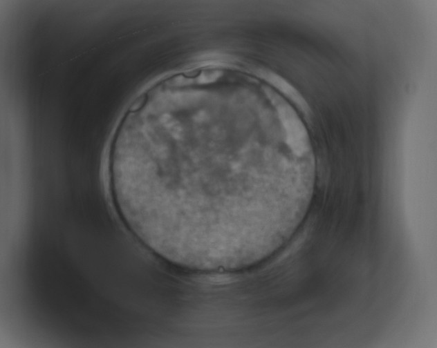 X0000100501431200807111134