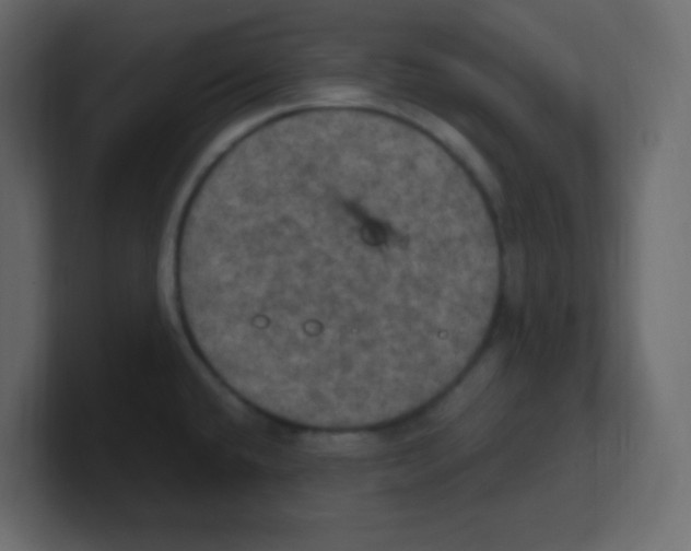 X0000100501432200807111134