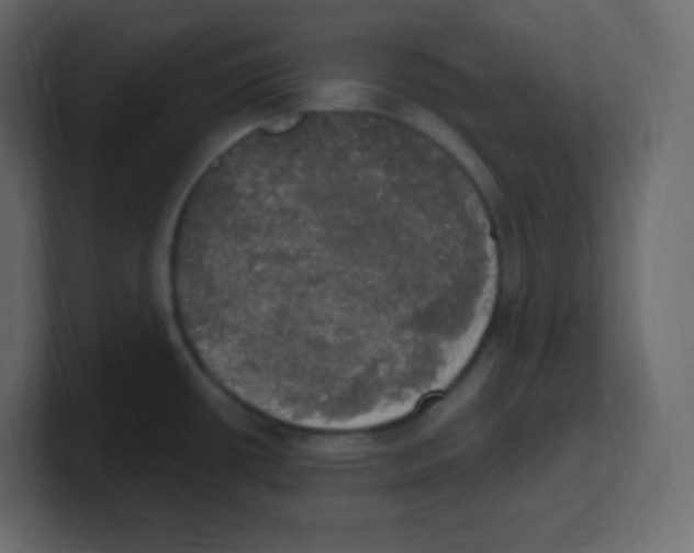 X0000100501434200807111134