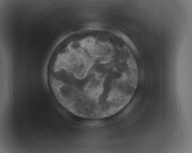 X0000100501435200807111134