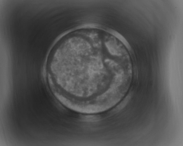 X0000100501436200807111134