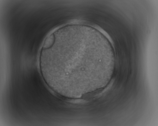 X0000100501437200807111134