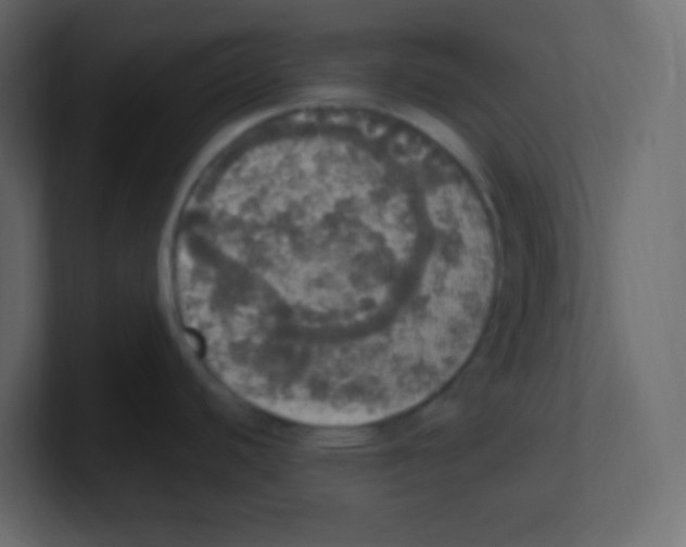 X0000100501440200807111134