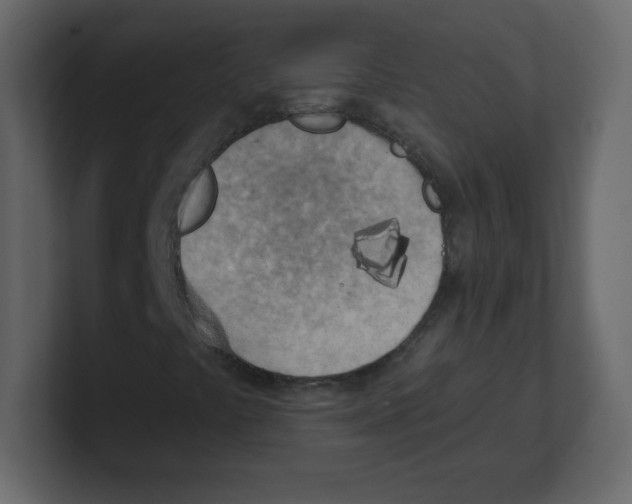 X0000100501441200807111133