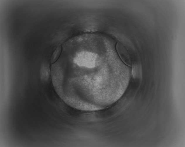 X0000100501444200807111133