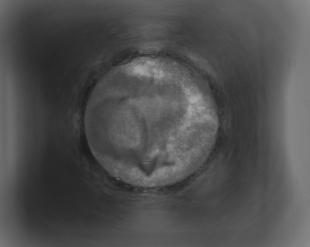 X0000100501445200807111133