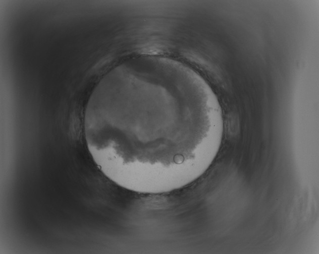 X0000100501446200807111133