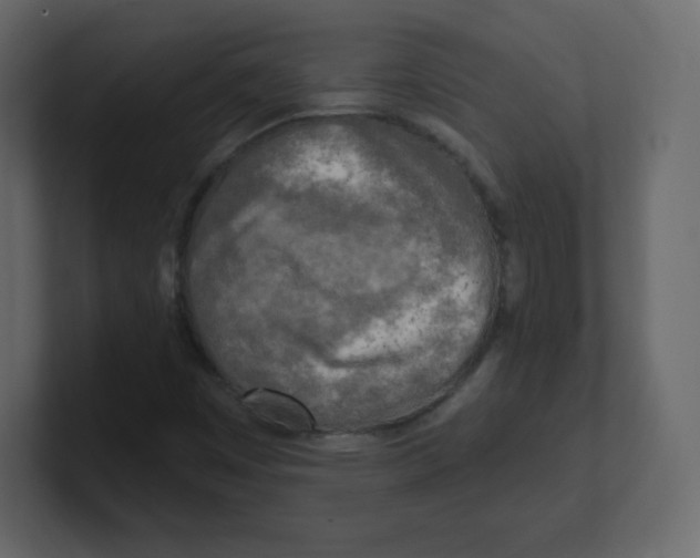 X0000100501449200807111133