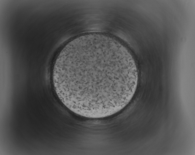 X0000100501450200807111133