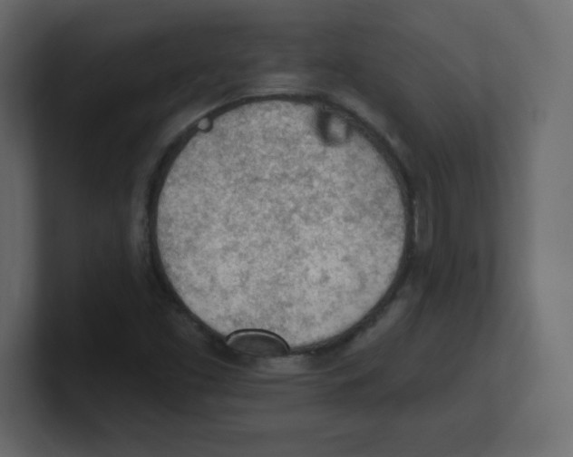 X0000100501453200807111133
