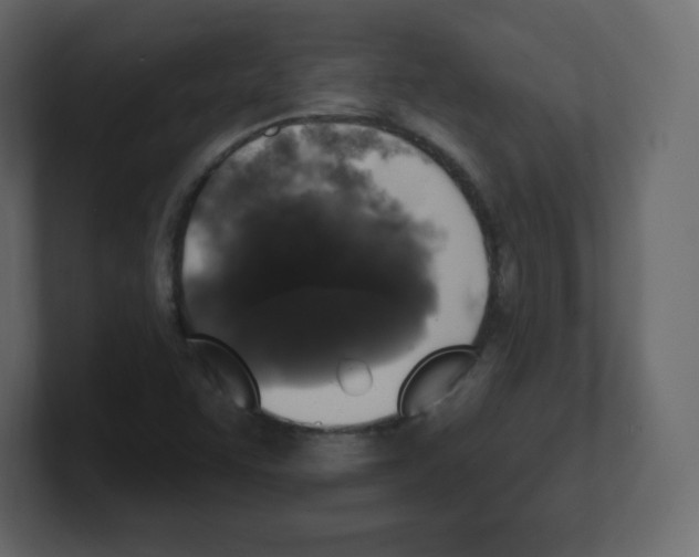 X0000100501455200807111133