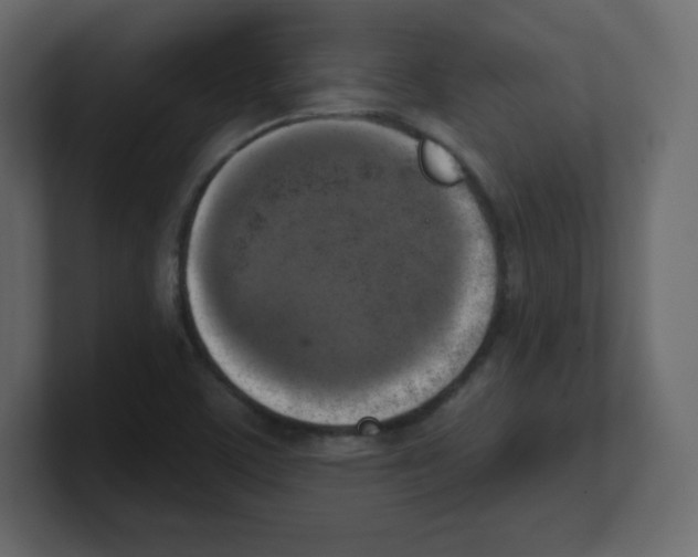 X0000100501459200807111133