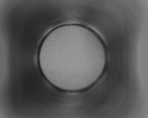 X0000100501460200807111133