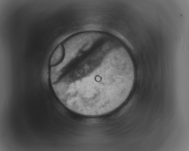 X0000100501461200807111133