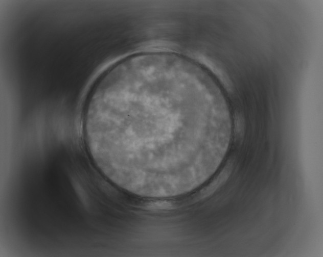 X0000100501462200807111133