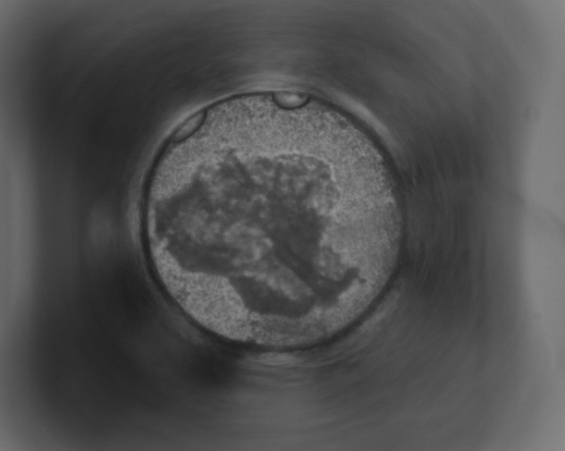 X0000100501463200807111133