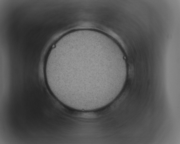 X0000100501464200807111133