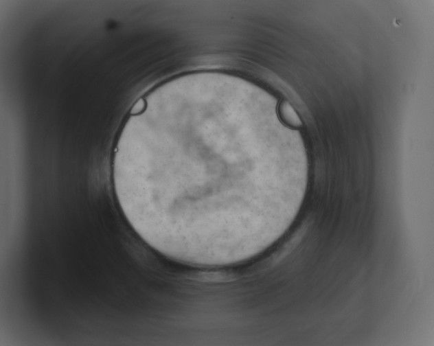 X0000100501465200807111133