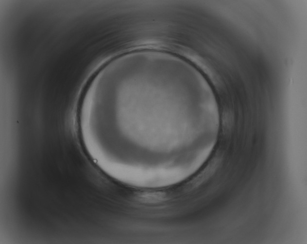 X0000100501466200807111133