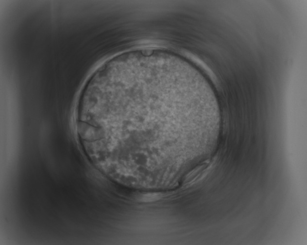 X0000100501467200807111133