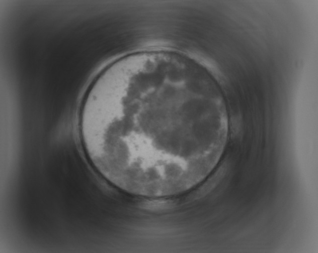 X0000100501470200807111133