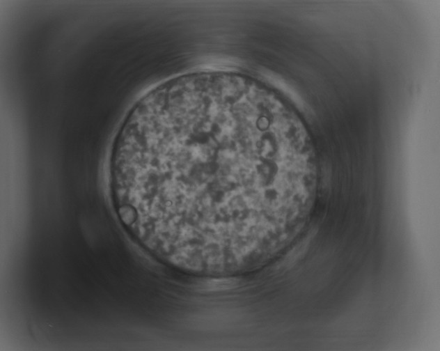 X0000100501471200807111133