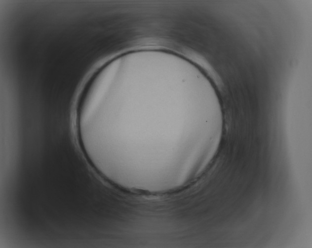 X0000100501472200807111133