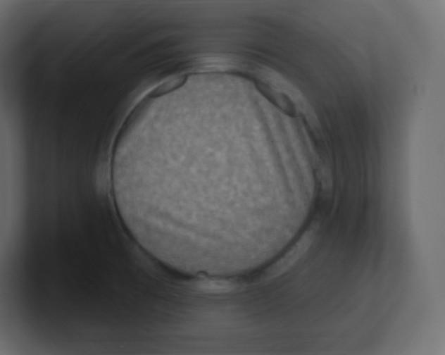 X0000100501473200807111133