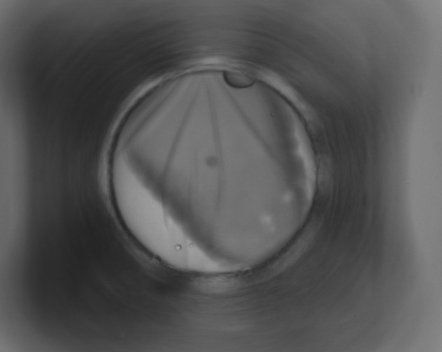 X0000100501474200807111133