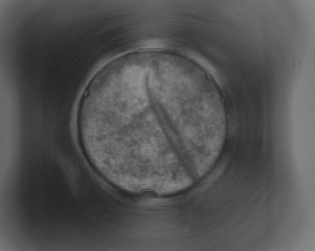 X0000100501475200807111133