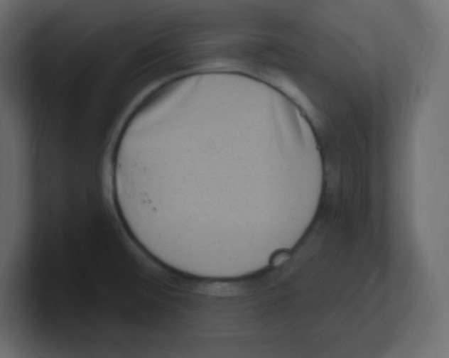 X0000100501476200807111133