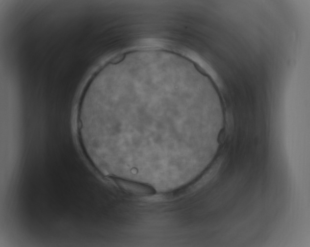 X0000100501477200807111133