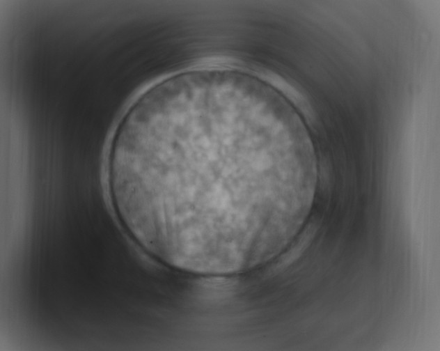 X0000100501478200807111133