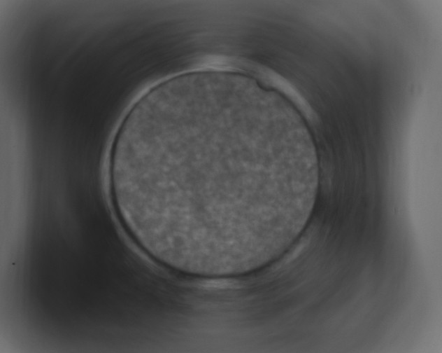 X0000100501479200807111133