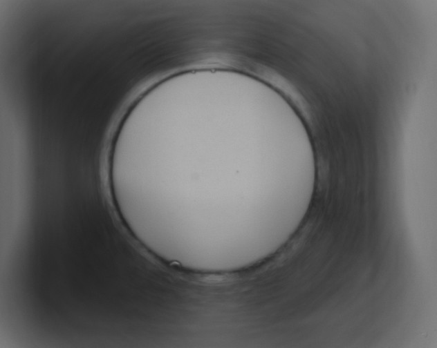 X0000100501480200807111133