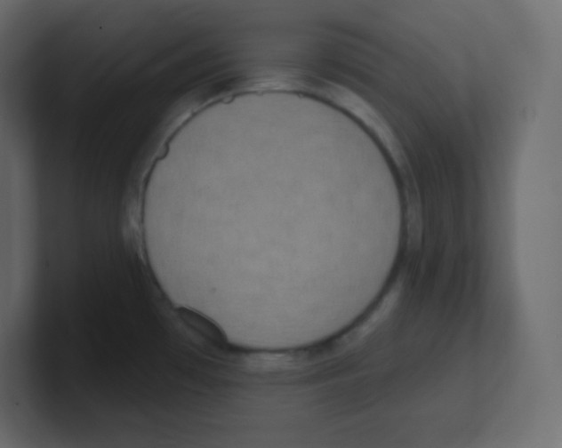 X0000100501481200807111133