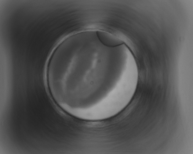 X0000100501482200807111133