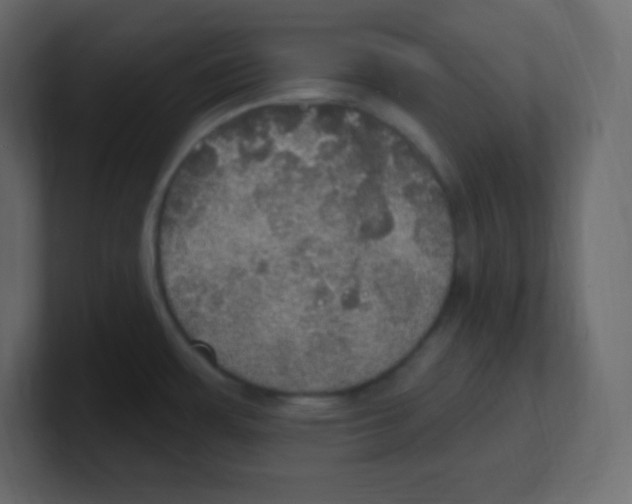 X0000100501483200807111133