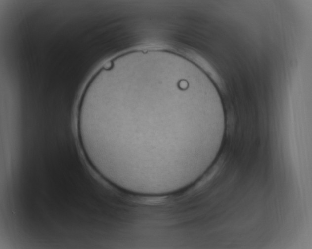 X0000100501484200807111133