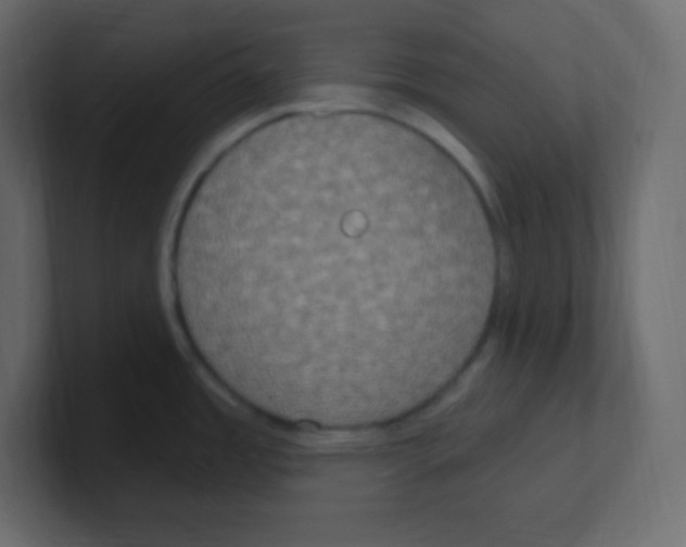 X0000100501485200807111133