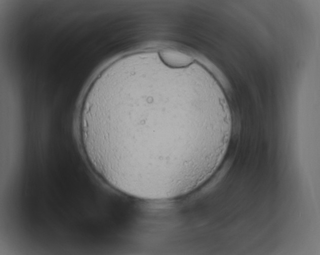 X0000100501486200807111133